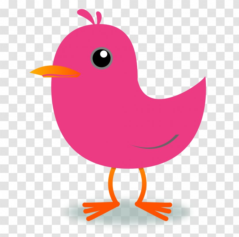 Bird Northern Cardinal Clip Art - Tweet Cliparts Transparent PNG