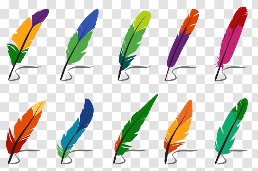 Vector Graphics Clip Art Image Illustration - Feather - Colorful Feathers Transparent PNG