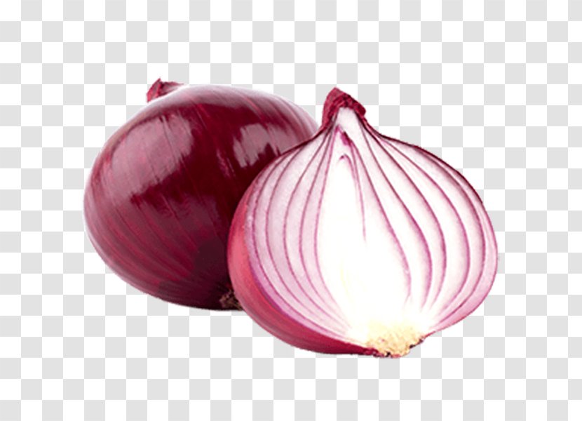 Red Onion Food Vegetable Shallot Yellow - Alliin Transparent PNG
