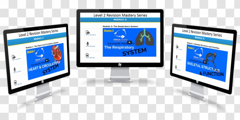 Anatomy Physiology Computer Monitors Information Study Skills - Monitor - Freedom Pass Transparent PNG