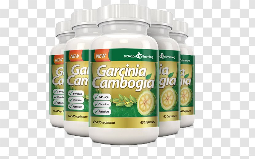 Garcinia Cambogia Dietary Supplement Hydroxycitric Acid Detoxification Weight Loss - Colon Cleansing Transparent PNG