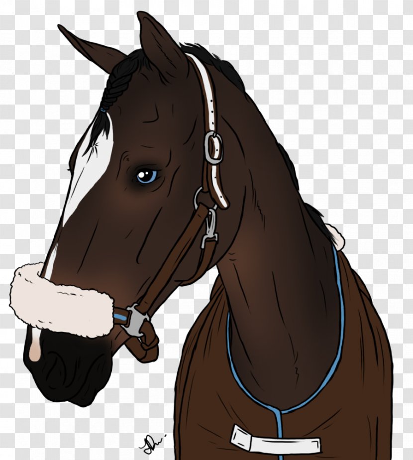 Halter Horse Harnesses Mustang Bridle Rein - Supplies Transparent PNG