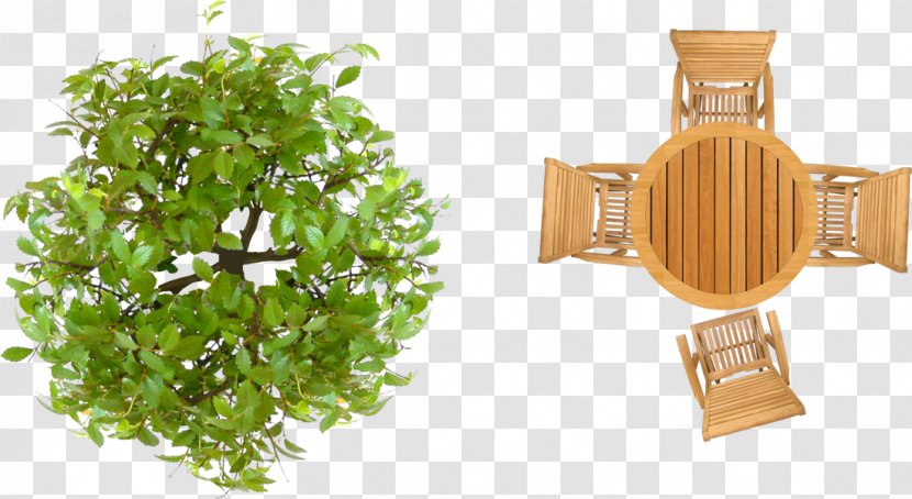 Garden Furniture Landscape Architecture Design - Tree Top View Transparent PNG