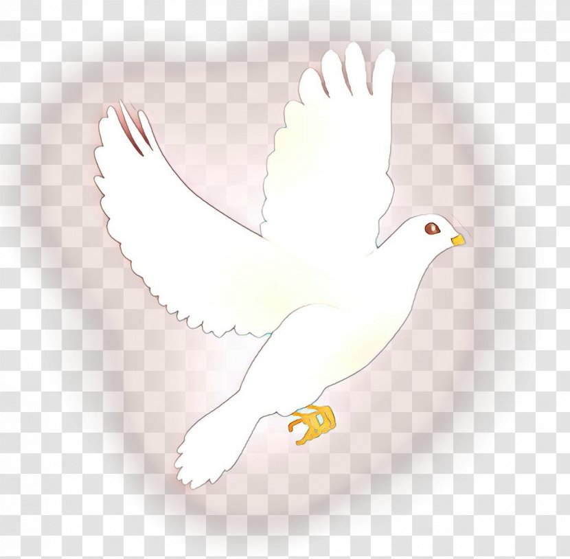Bird Drawing - Pigeons And Doves - Tail Sticker Transparent PNG