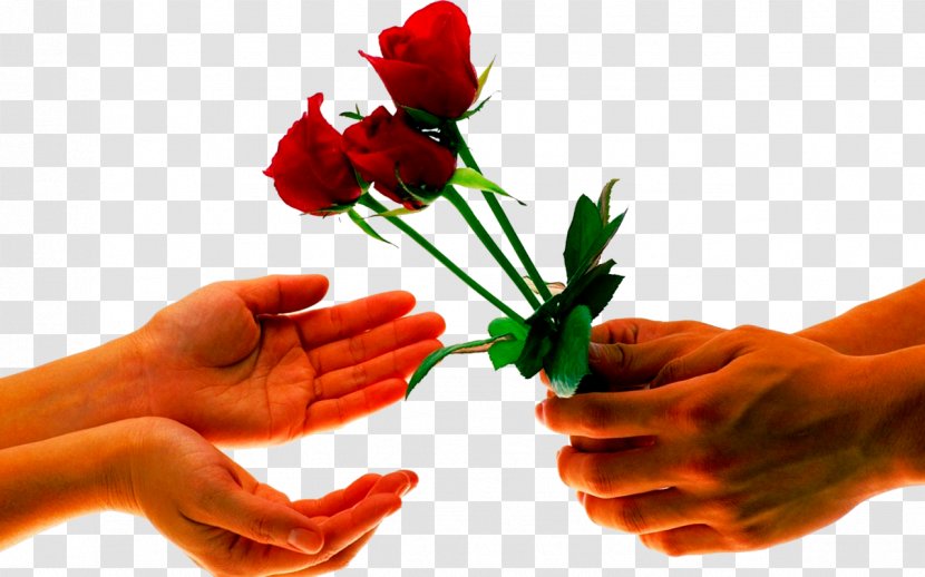 Flower Bouquet Desktop Wallpaper Floristry Rose - Family - Man To Send A Woman Roses Transparent PNG