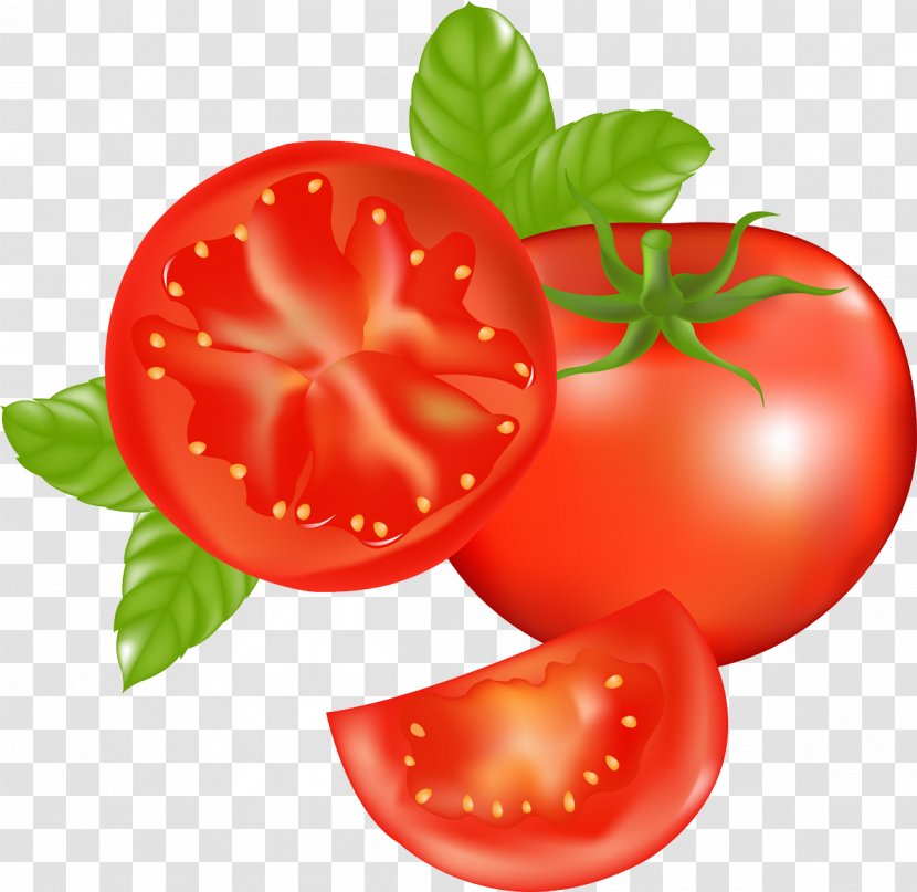 Tomato Soup Vegetable - Fruit - Vector Transparent PNG