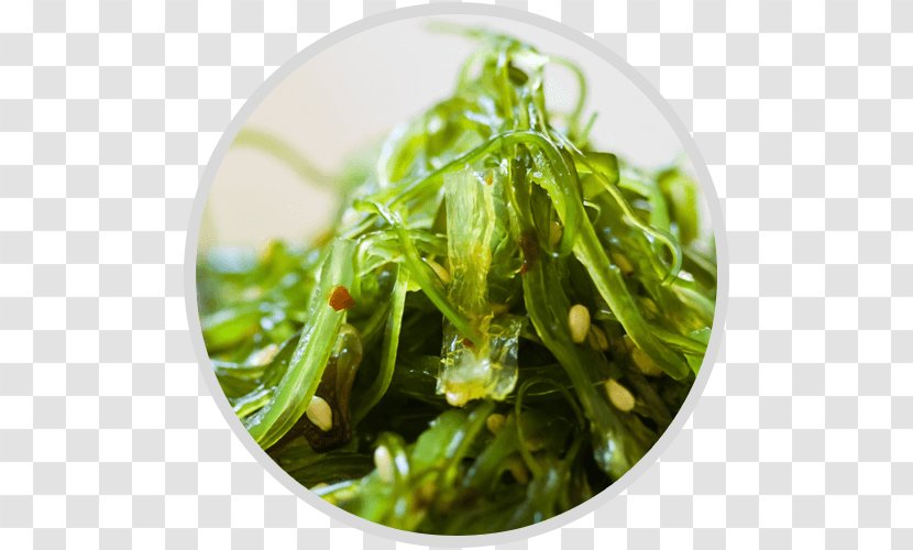 Ramen Miso Soup Edible Seaweed Wakame - Vegetarian Food Transparent PNG