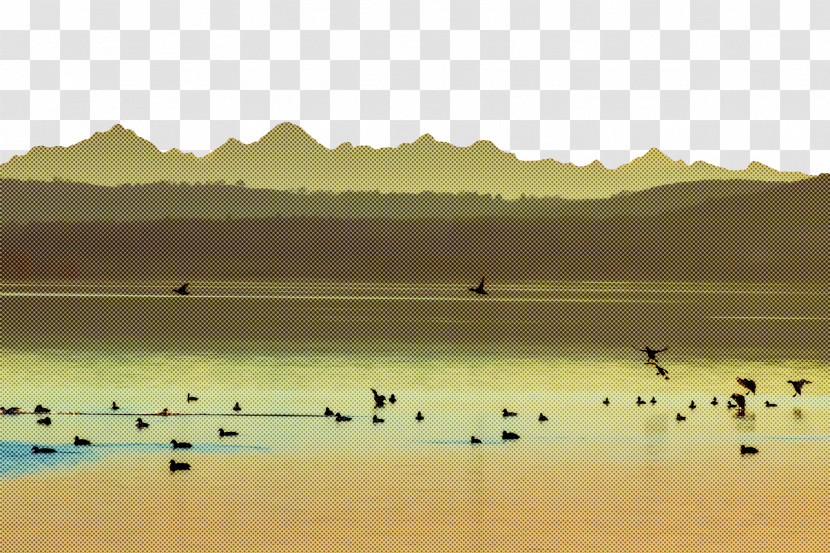 Water Resources Ecoregion Reservoir Birds Lough Transparent PNG