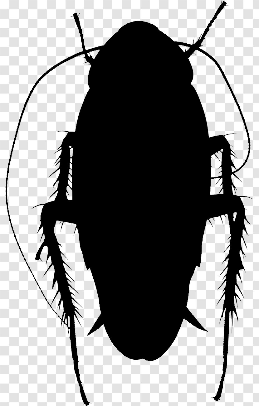 Clip Art Silhouette Insect Membrane - Oriental Cockroach - Beetle Transparent PNG