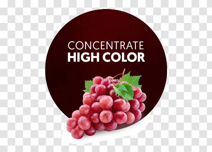 Common Grape Vine Red Wine Globe - Frame - White Juice Transparent PNG