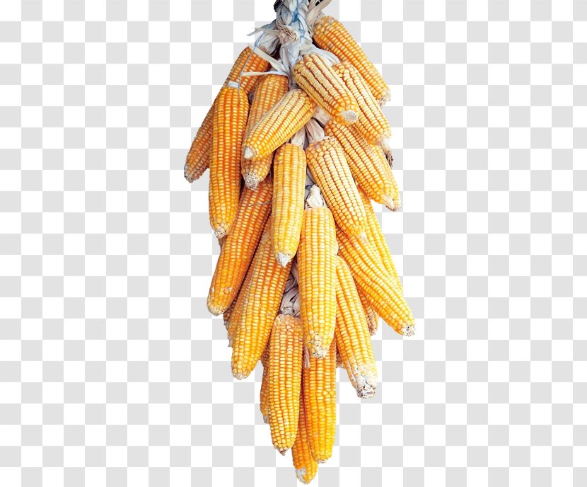 Corn On The Cob Maize Cereal - Syrup Transparent PNG