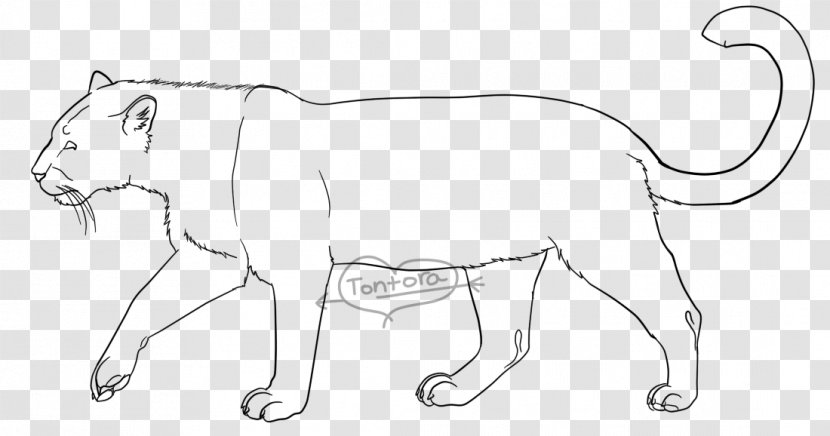 Lion Drawing Cat Whiskers Line Art - Figure Transparent PNG
