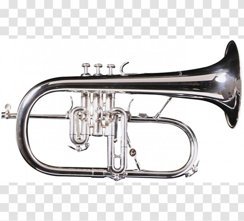 Cornet Flugelhorn Tenor Horn Trumpet Euphonium - Flower Transparent PNG