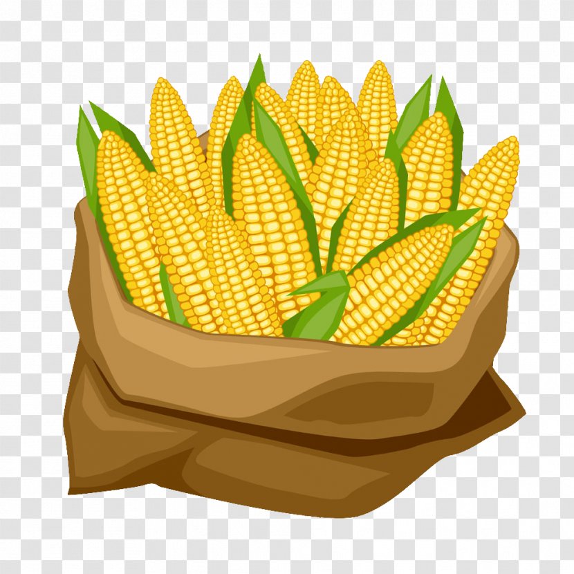Corn On The Cob Maize Corncob Clip Art - Fruit - Sacks Of Transparent PNG