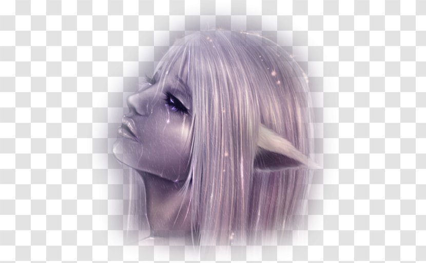 Elf Fairy Duende Transparent PNG