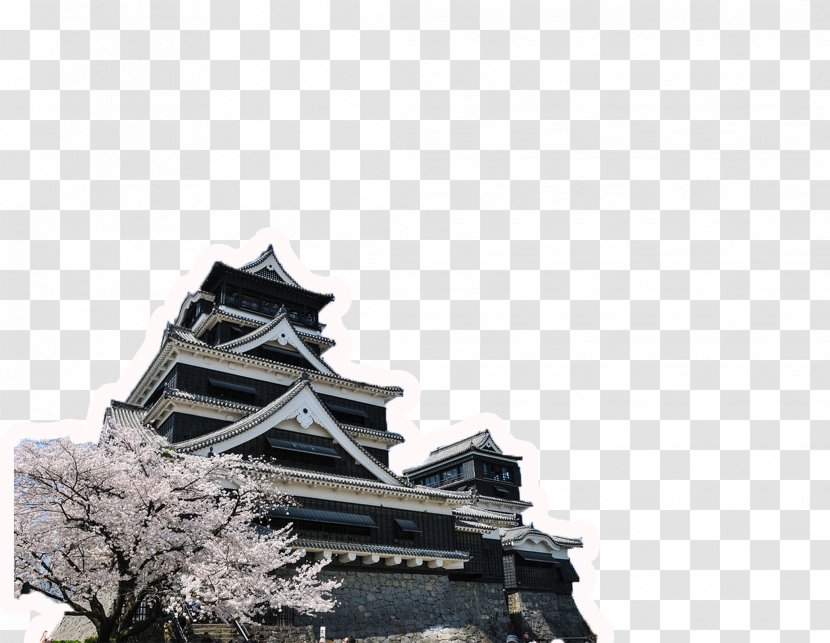 Kumamoto Castle Europe Cherry Blossom Teaching English As A Second Or Foreign Language - Building Transparent PNG