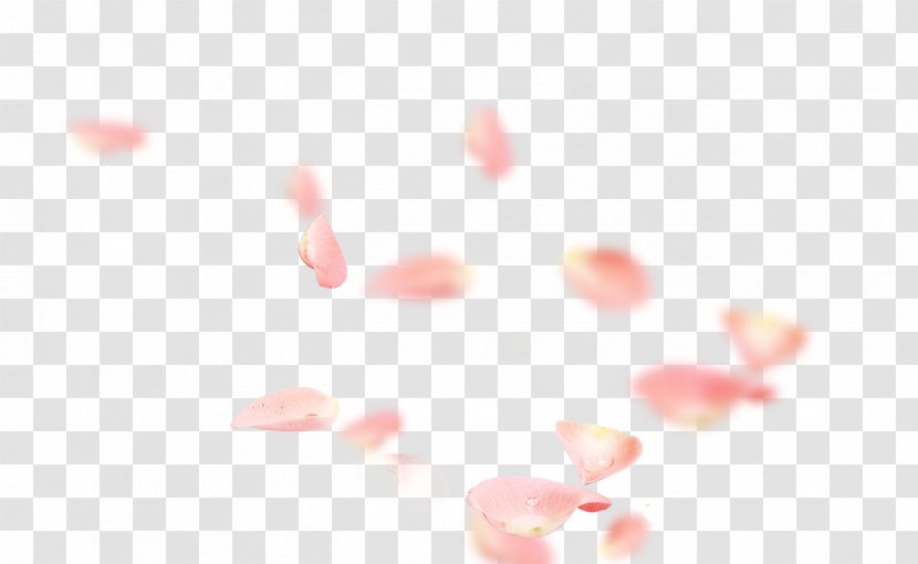 Petal Pink Flower Symbol - Rose Petals Transparent PNG