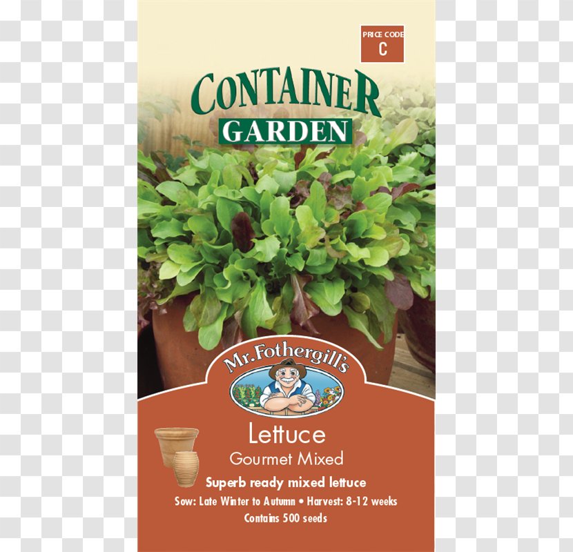 Lettuce Leaf Vegetable Herb Basil Variety - Herbalism - Watercolor Transparent PNG