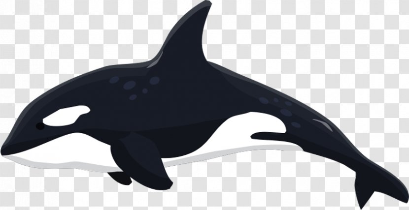 Blockchain Game Decentralized Application Ethereum - Marine Mammal - Massively Multiplayer Online Transparent PNG