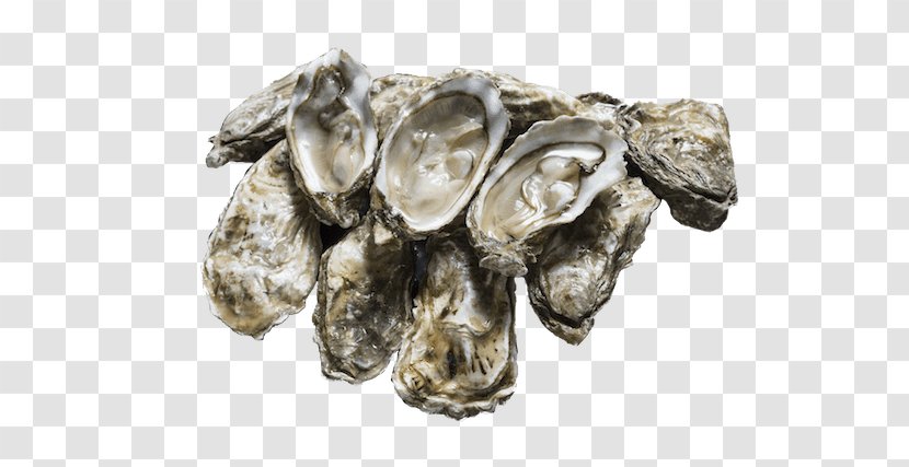 Oyster Buffet Clam Atelier Seafood - Food Transparent PNG