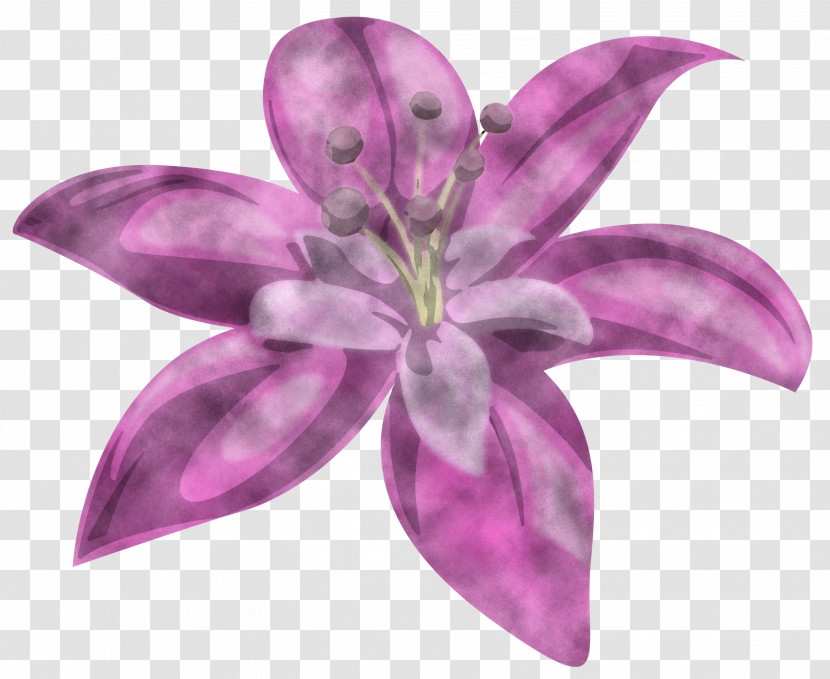 Lavender Transparent PNG