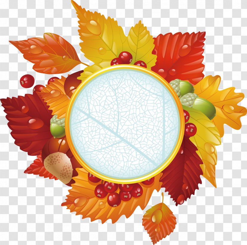 Autumn Leaf Clip Art - Floral Design - Beautiful Leaves Label Transparent PNG