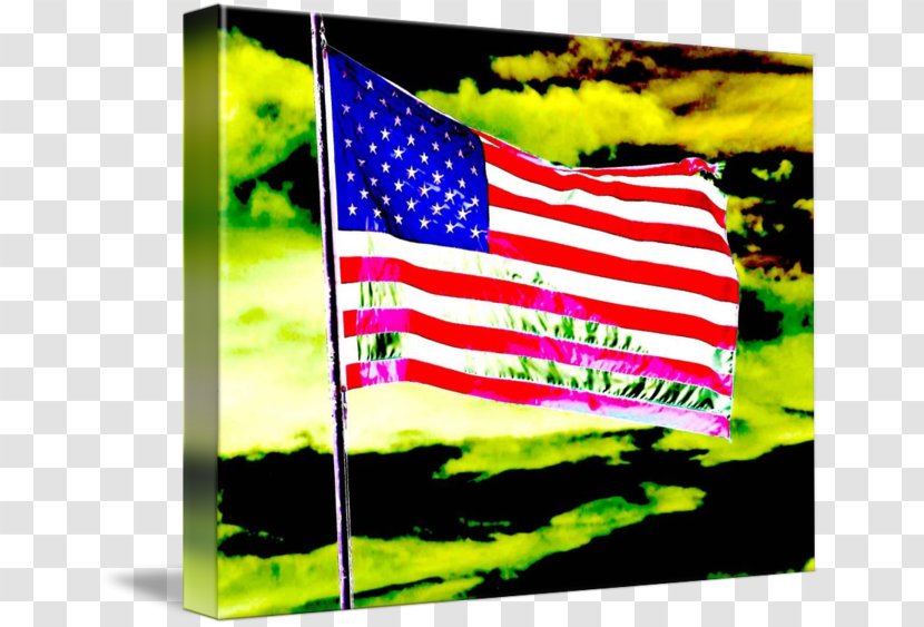 Flag Of The United States Best Abstract Photography Art - Earth Transparent PNG