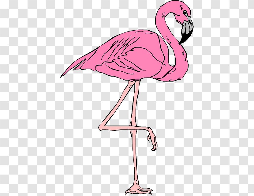 Flamingo T-shirt Clip Art - Music Download - National Reading Day Transparent PNG