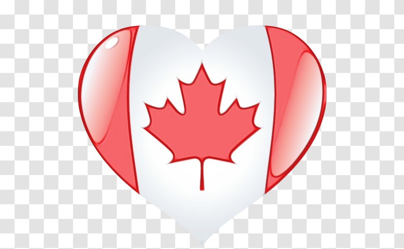 Flag Of Canada Vector Graphics Stock Photography - Plant - Leaf Transparent PNG