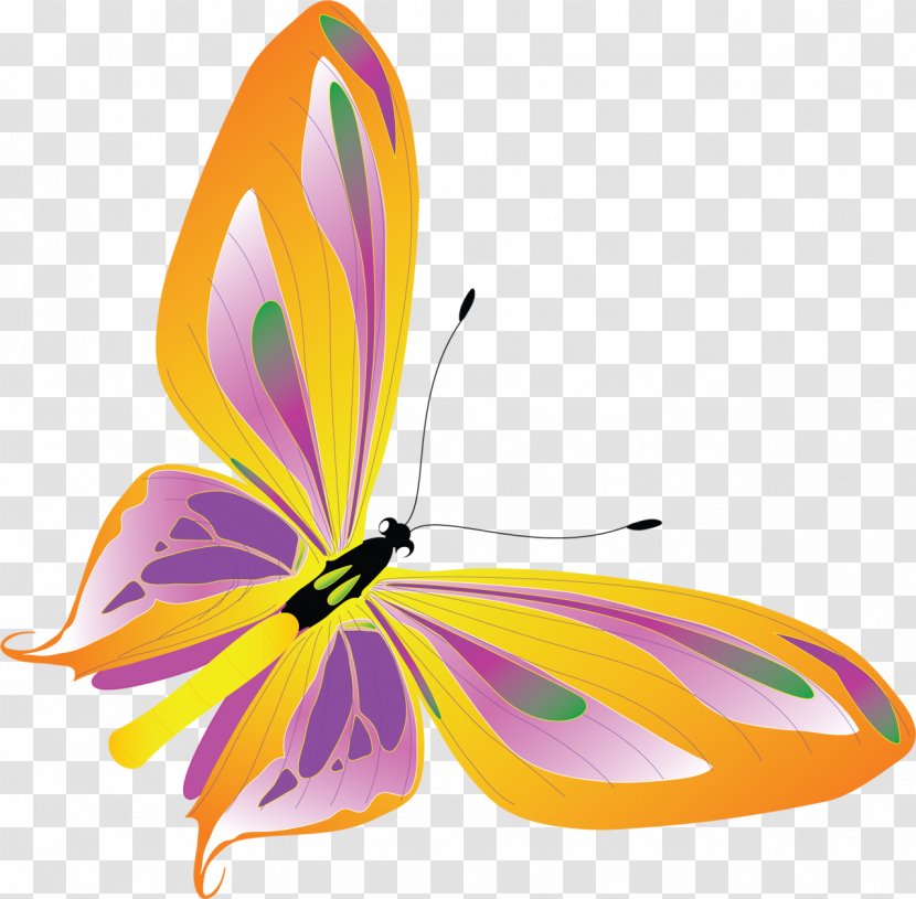 Butterfly Insect Pollinator Clip Art - Monarch Transparent PNG