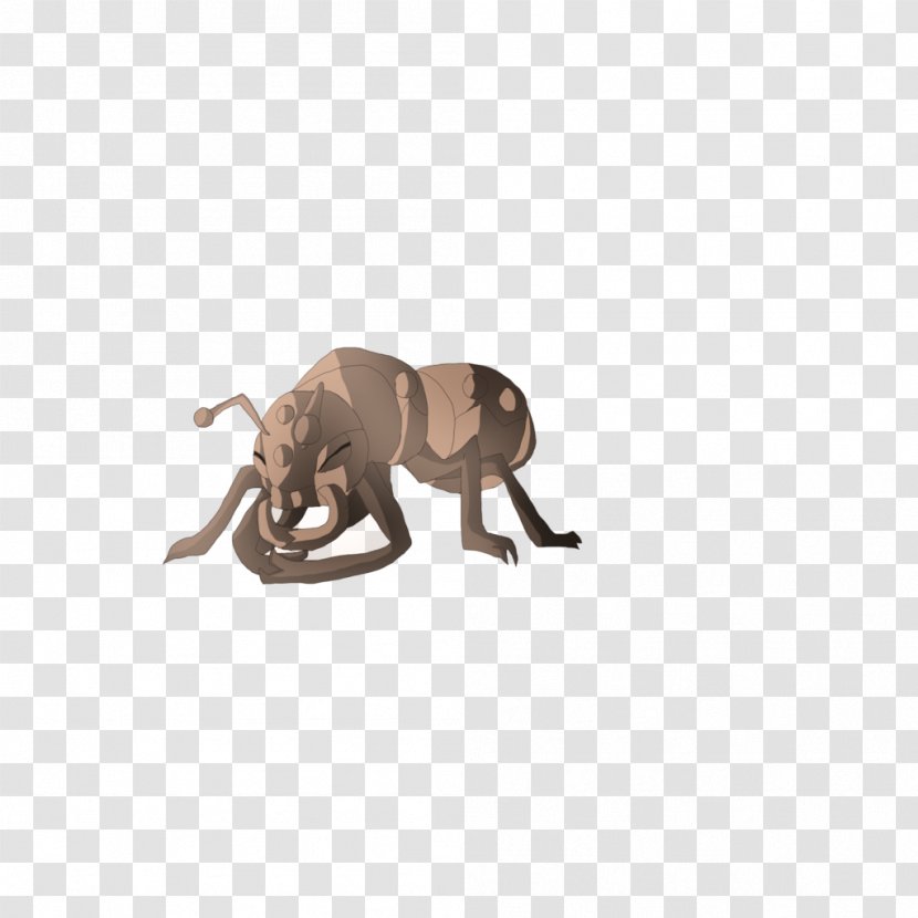 Lion African Elephant Indian Cat Wildlife - Like Mammal - Doctors Day Transparent PNG