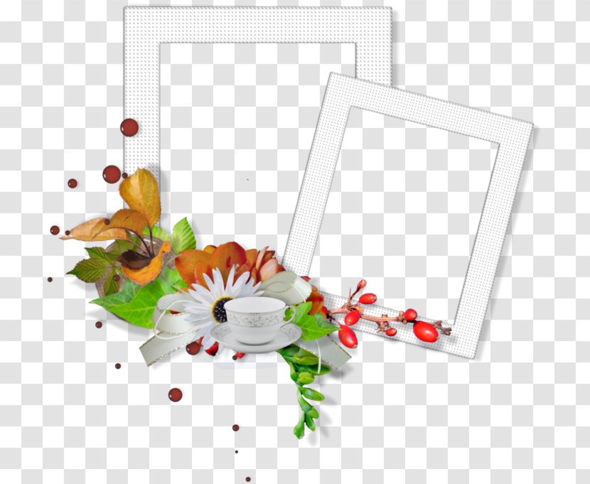 Picture Frames Photography - Petal Transparent PNG