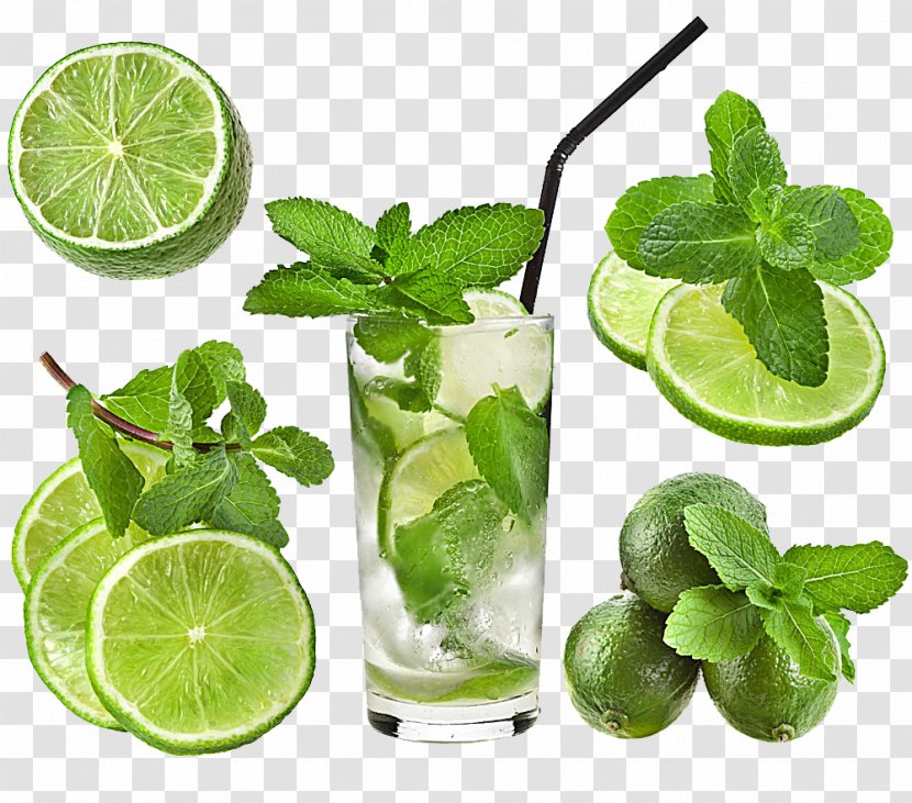 Cocktail Iced Tea Water Mint Rock Candy - Lemon - Leaf Transparent PNG