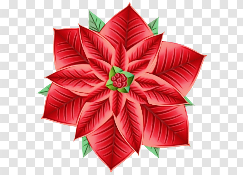 Christmas Day Transparent PNG