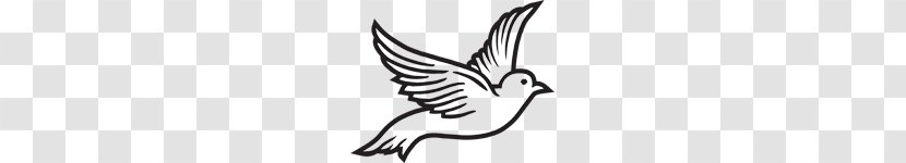 Columbidae Release Dove Funeral Clip Art - European Turtle - Cliparts Transparent PNG