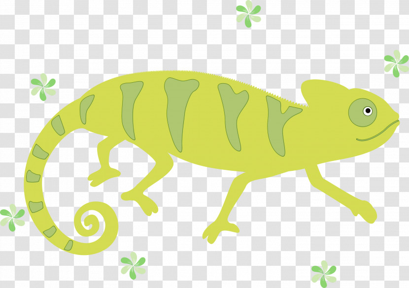 Frogs Lizards Chameleons Cartoon Green Transparent PNG