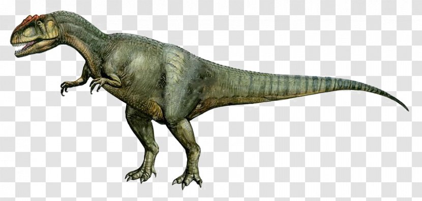 Daspletosaurus Allosaurus Albertosaurus Pachycephalosaurus Tyrannosaurus - Planet Dinosaur Transparent PNG