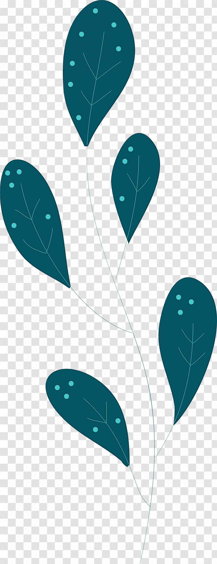 Leaf Turquoise Biology Plant Structure Plants Transparent PNG