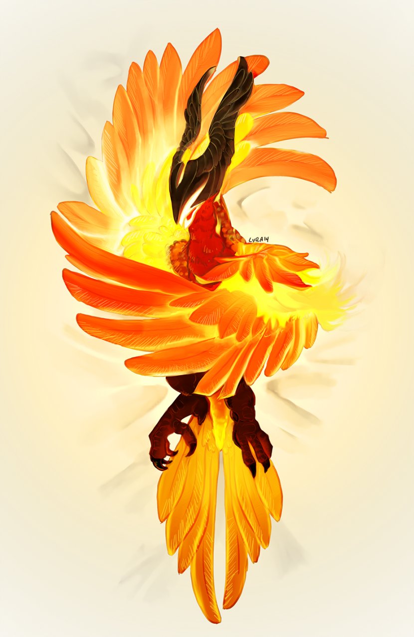 Warcraft III: Reign Of Chaos Dota 2 World Defense The Ancients Pillow - Frame - Phoenix Transparent PNG