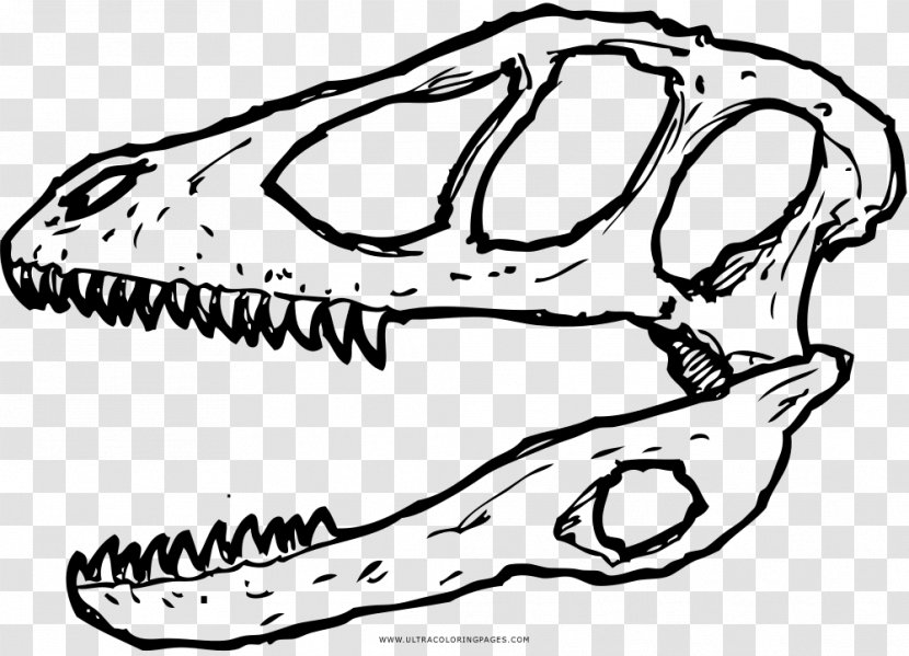 Tyrannosaurus Deinonychus Dinosaur Skull Edmontosaurus - Human Transparent PNG