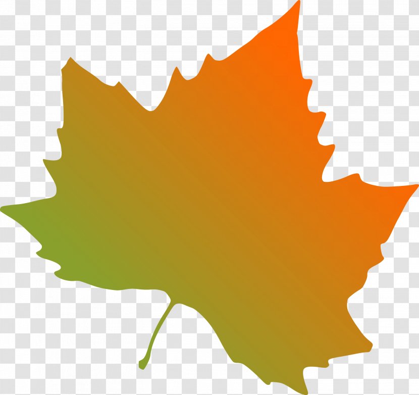 Clip Art Maple Leaf Indiana State University Illustration - Burning Transparent PNG