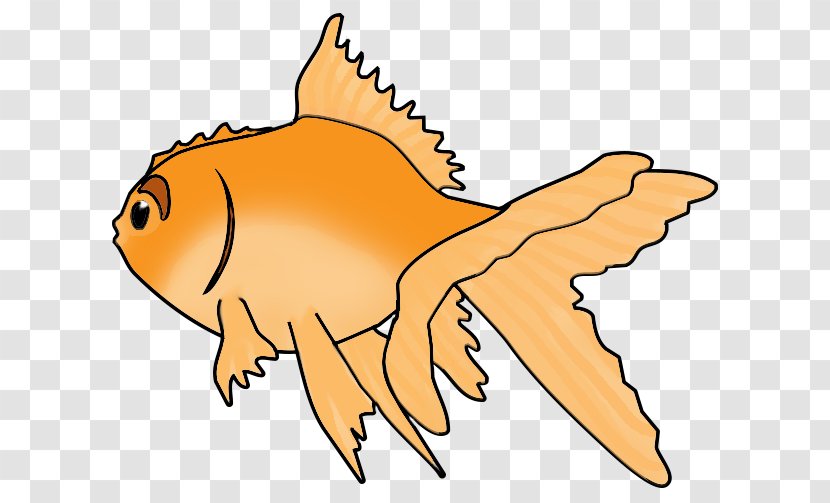 Ryukin Fish Drawing Clip Art - Artwork - Goldfish Transparent PNG