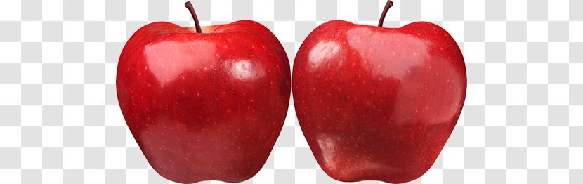 Apple Stock Photography Fruit Auglis Clip Art Transparent PNG