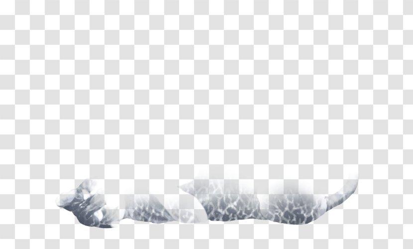 White Fur Freezing Animal Sky Plc - Crackle Transparent PNG