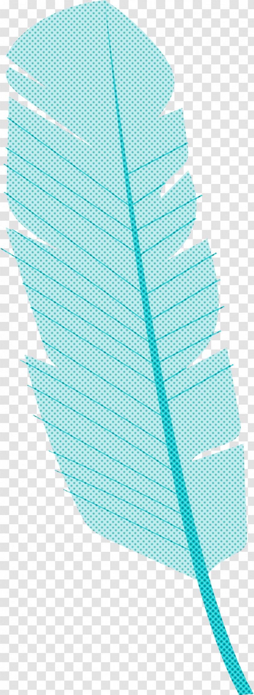 Leaf Turquoise Line Plants Biology Transparent PNG