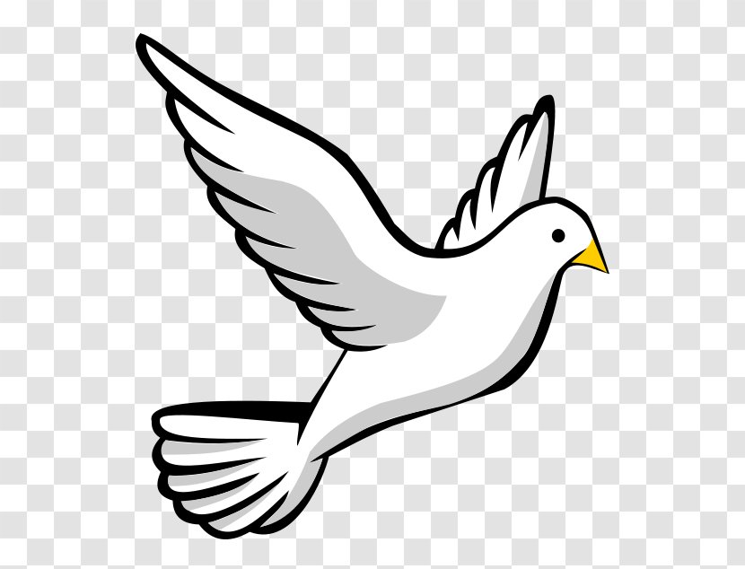 Doves As Symbols Columbidae Clip Art - Fauna - The Dove Of Peace Transparent PNG