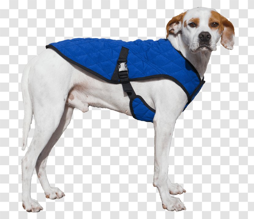 Dog Jacket Waistcoat Overcoat Transparent PNG