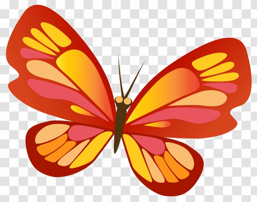 Butterfly Insect Clip Art - Brush Footed - Red Transparent PNG