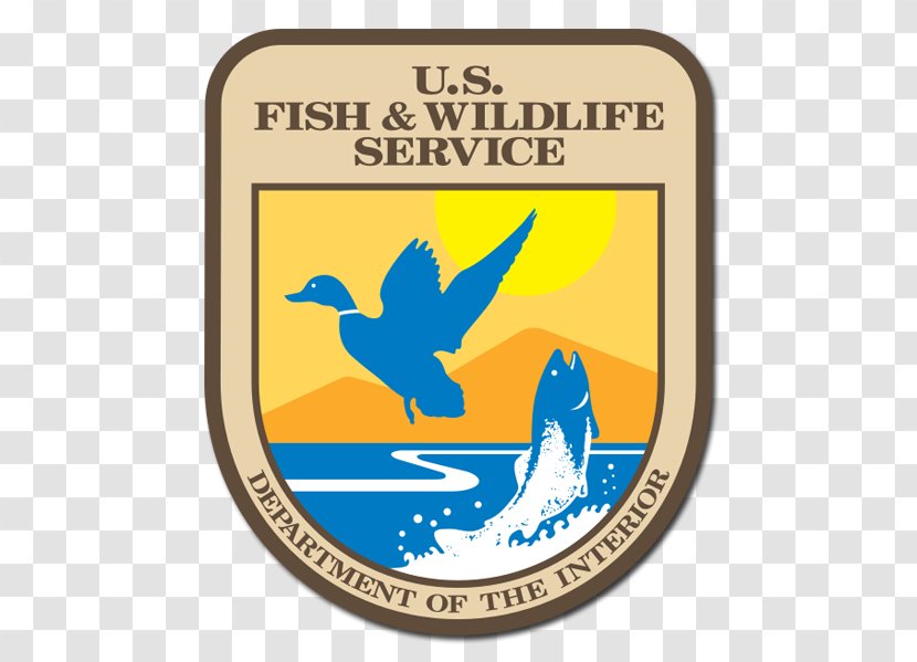 Endangered Species Act Of 1973 United States Fish And Wildlife Service Conservation Transparent PNG