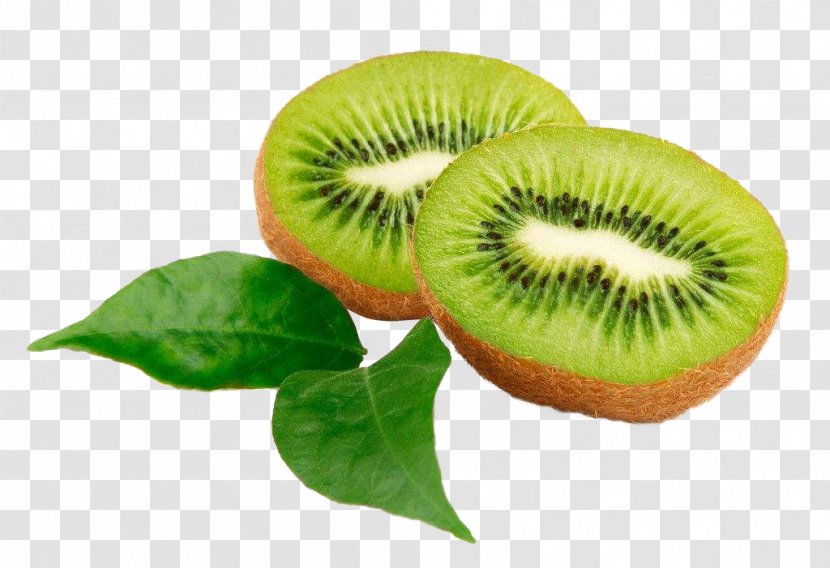 Kiwifruit Frutti Di Bosco Seed Oil Actinidia Deliciosa - Vitamin E Transparent PNG